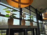 Decoratie - afbeelding 2 van  24