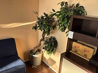 Decoratie - afbeelding 21 van  24