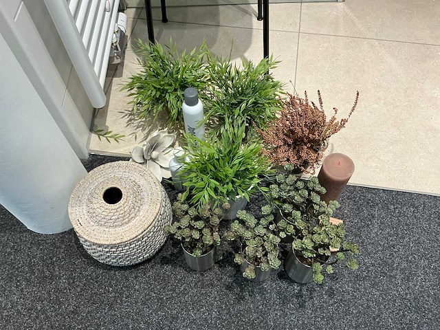 Decoratie - afbeelding 5 van  5
