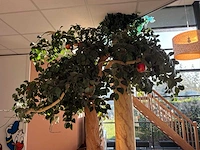 Decoratie - afbeelding 18 van  24