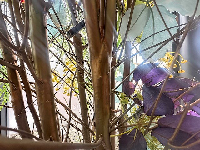 Decoratief bloemstuk 240 cm hoog - afbeelding 4 van  4