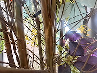 Decoratief bloemstuk 240 cm hoog - afbeelding 4 van  4