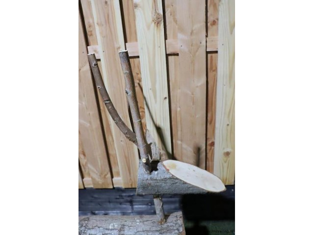 Decoratief hert - 87x35x130cm - afbeelding 3 van  4