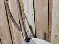 Decoratief hert - 87x35x130cm - afbeelding 3 van  4