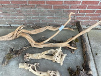Decoratief hout - afbeelding 1 van  3