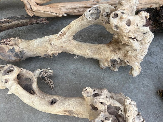 Decoratief hout - afbeelding 2 van  3