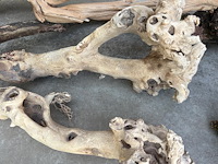 Decoratief hout - afbeelding 2 van  3