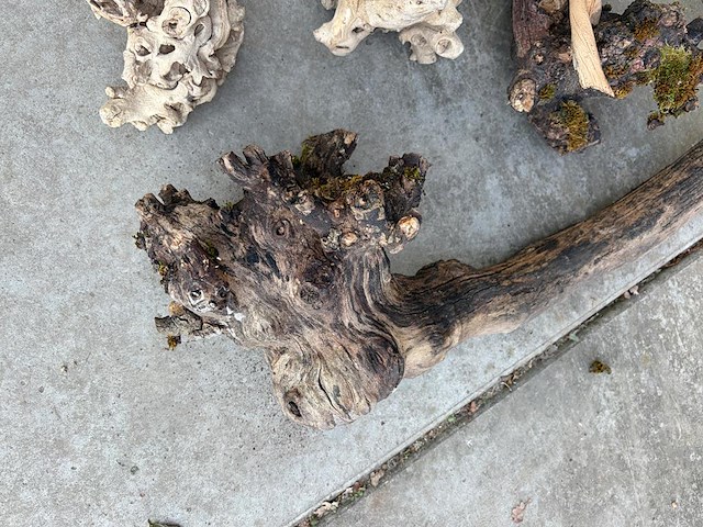 Decoratief hout - afbeelding 3 van  3