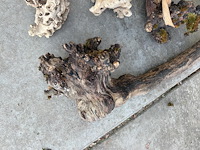 Decoratief hout - afbeelding 3 van  3
