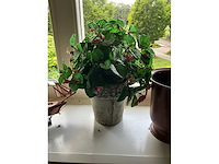 Decoratiemateriaal (4x) - afbeelding 4 van  5