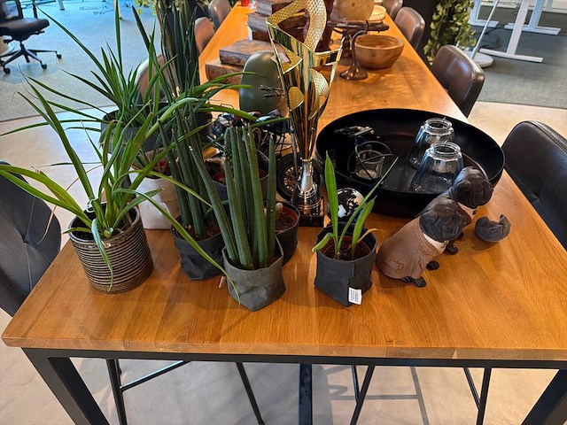 Decoratiemateriaal (zwart) - afbeelding 5 van  7