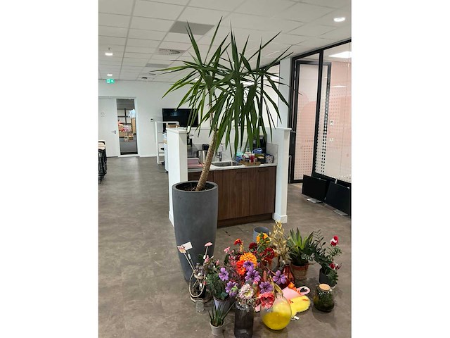 Decoratiemateriaal - afbeelding 7 van  7