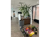 Decoratiemateriaal - afbeelding 7 van  7