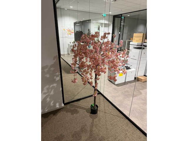 Decoratiemateriaal - afbeelding 4 van  4