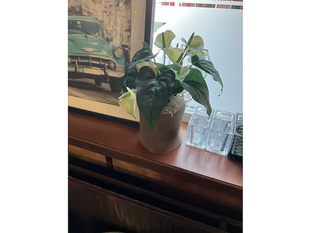 Decoratiemateriaal - afbeelding 7 van  8