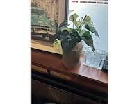 Decoratiemateriaal - afbeelding 7 van  8