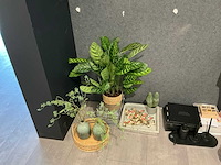 Decoratiemateriaal - afbeelding 5 van  5