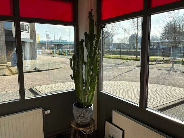 Decoratiemateriaal - afbeelding 4 van  5