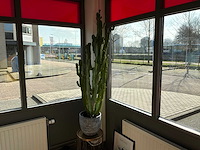 Decoratiemateriaal - afbeelding 4 van  5