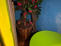 Decoratiemateriaal - afbeelding 5 van  9