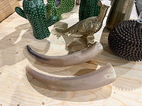 Decoratiemateriaal - afbeelding 4 van  4