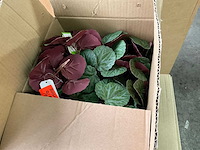 Decoratiematerialen - afbeelding 5 van  5