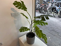 Decoratiematerialen - afbeelding 13 van  14