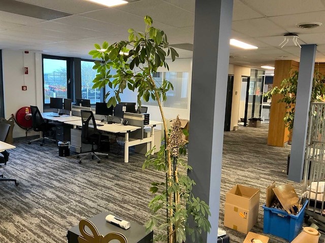 Decoraties, planten en kantoortoebehoren - afbeelding 2 van  4