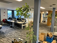 Decoraties, planten en kantoortoebehoren - afbeelding 2 van  4