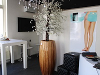 Decoratieve bloempot met kunstplant. hoogte pot 120 cm en totale hoogte circa 280 cm.
