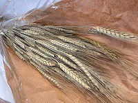 Decoratieve bos tarwe (550x) - afbeelding 3 van  5