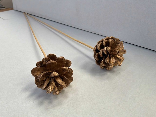 Decoratieve dennenappel op stok (5000x) - afbeelding 1 van  2