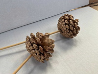 Decoratieve dennenappel op stok (5000x) - afbeelding 2 van  2