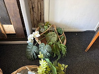 Decoratieve kunst planten in mand (8x) - afbeelding 4 van  4