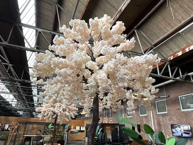 Decoratieve kunstboom | witte bloesem - in verrijdbare bak 430cm hoog - kamerplant - afbeelding 2 van  4
