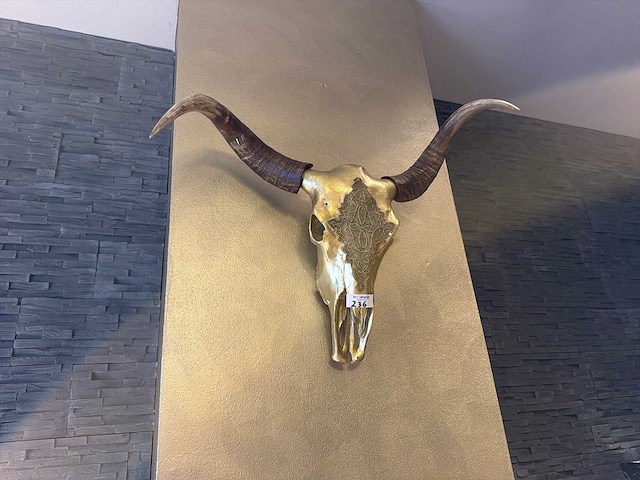 Decoratieve longhorn schedel - afbeelding 1 van  3