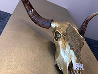 Decoratieve longhorn schedel - afbeelding 3 van  3