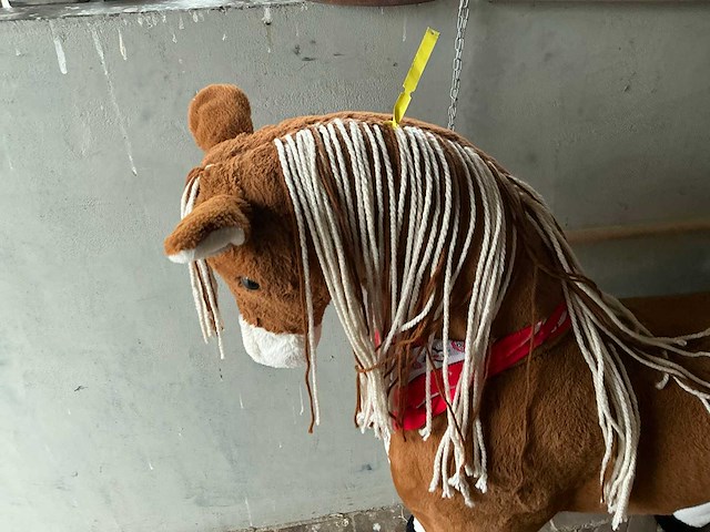 Decoratieve pony - afbeelding 3 van  5