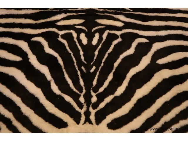 Decoratieve vloerkleden - afbeelding 2 van  4