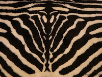 Decoratieve vloerkleden - afbeelding 2 van  4