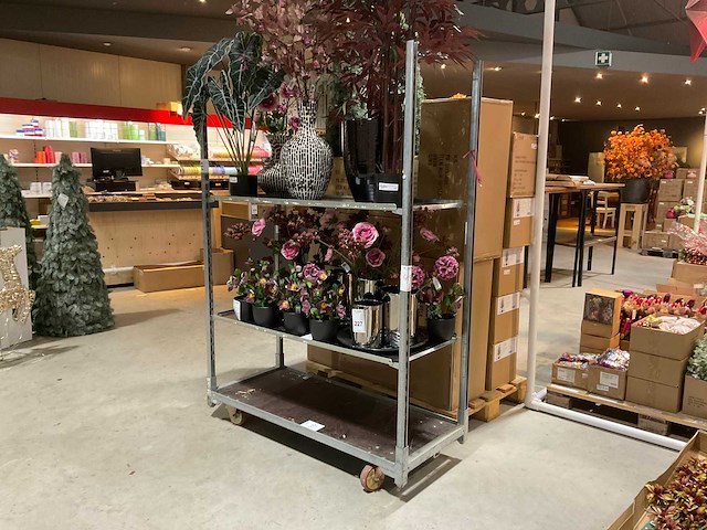 Deense kar - afbeelding 1 van  4