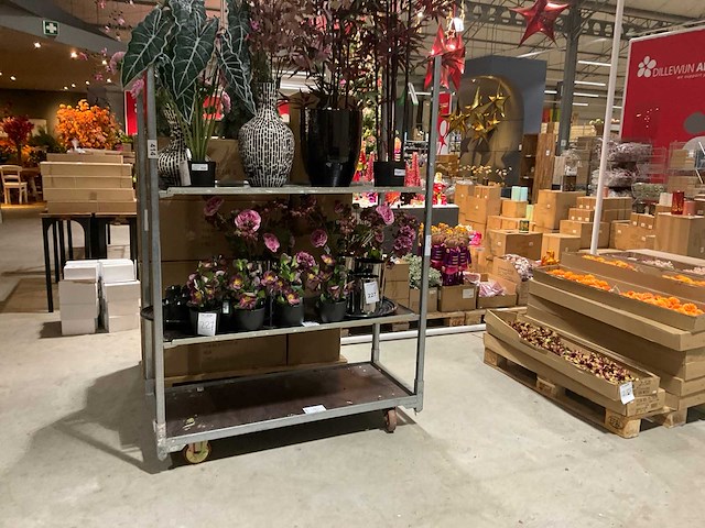 Deense kar - afbeelding 2 van  4