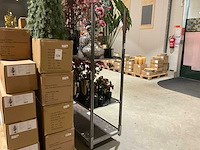 Deense kar - afbeelding 3 van  4