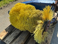 Delaval veeborstel - afbeelding 5 van  6