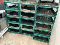 Deliflor kunststof proefkrat (31x) - afbeelding 1 van  7