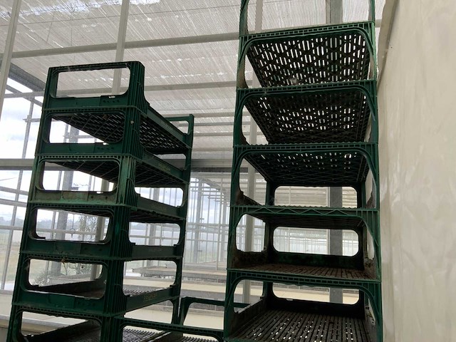 Deliflor kunststof proefkrat (31x) - afbeelding 4 van  7