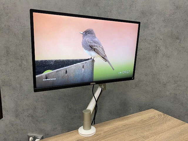 Dell - 2x 24" monitor met monitorarm - hdmi, dp, vga - afbeelding 9 van  16