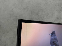 Dell - 2x 24" monitor met monitorarm - hdmi, dp, vga - afbeelding 10 van  16