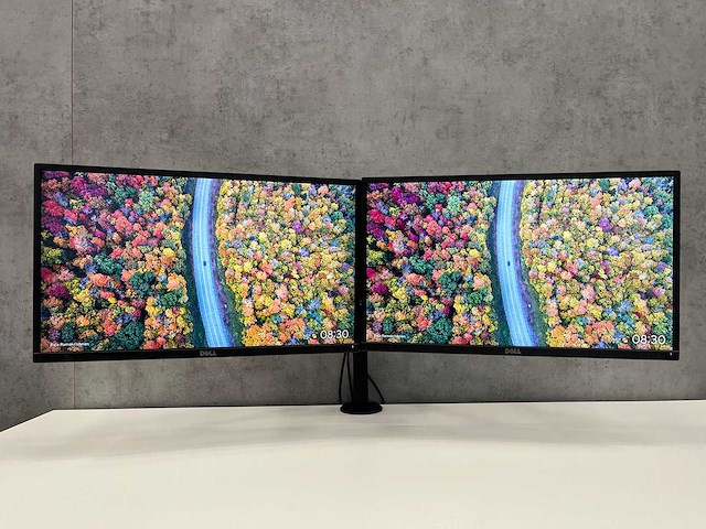 Dell - p2417h - 2x monitor op dubbele arm - hdmi, dp, vga - afbeelding 1 van  18