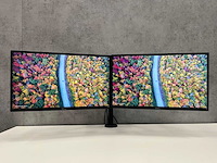 Dell - p2417h - 2x monitor op dubbele arm - hdmi, dp, vga - afbeelding 1 van  18